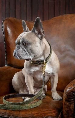 Digby & Fox Tweed Dog Lead
