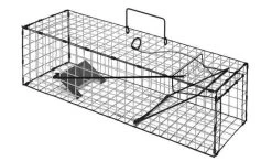 Albi-Traps Albion Mink/Squirrel Trap