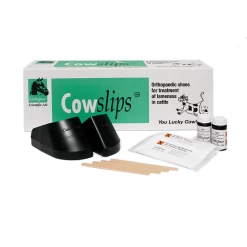 Cowslips Plus Orthpaedic Right Shoes (Pack Of 10)