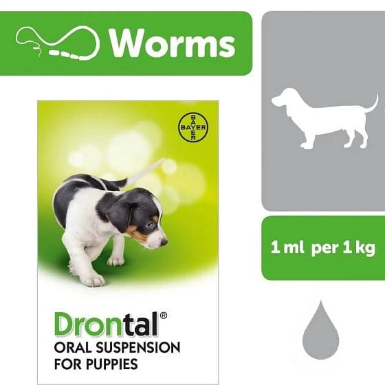Drontal Puppy Oral Suspension Wormer