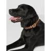 Fairfax & Favor Fitzroy Leather Dog Collar
