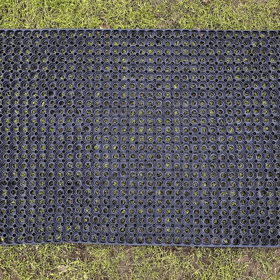 Earlswood Supplies Ground Ring Grass Mat 23mm (H) X 1m (W) X 1.5m (L)