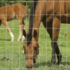 Hampton NET™ Horse And Foal Stock Fencing 13/122/7.5 50m