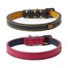 Joules Leather Dog Collar