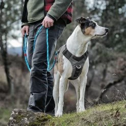 Kurgo Journey Air Dog Harness