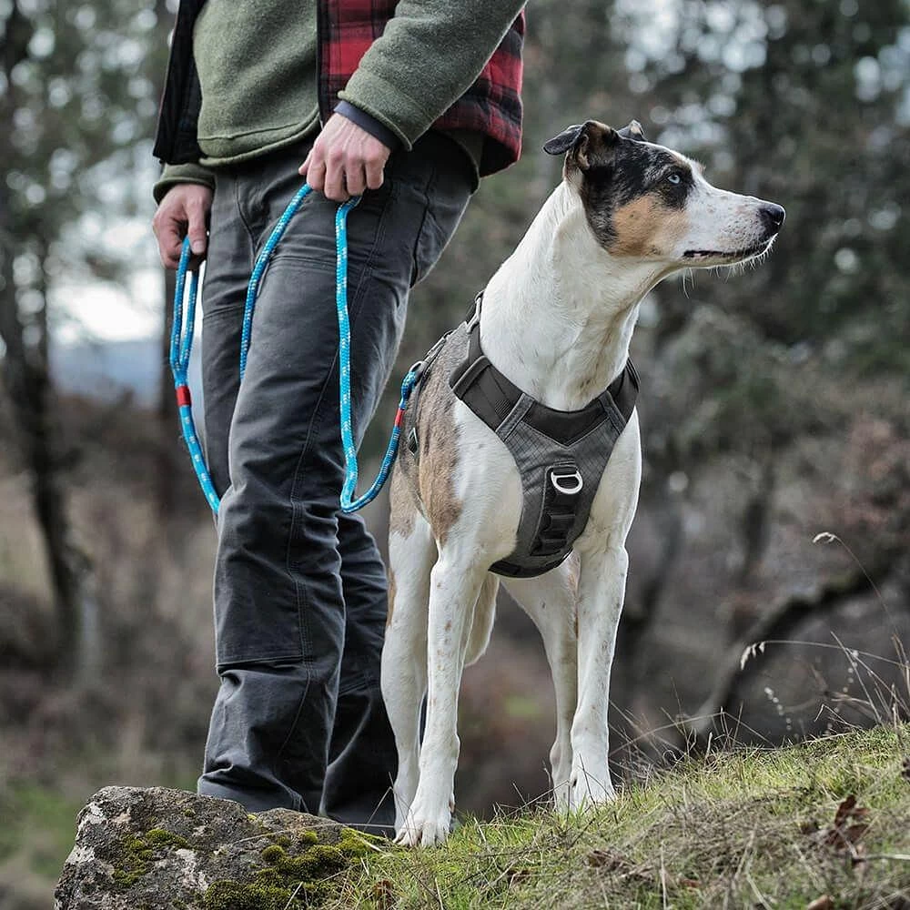 Kurgo Journey Air Dog Harness