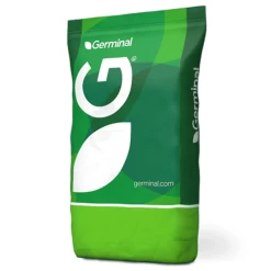 Germinal Relay Medium Term Grass Seed