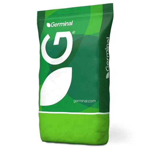 Germinal Relay Medium Term Grass Seed