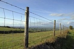 C8/80/15 Green Stock Fencing 50m