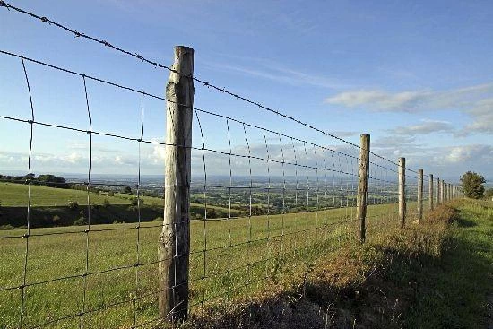 C8/80/15 Green Stock Fencing 50m